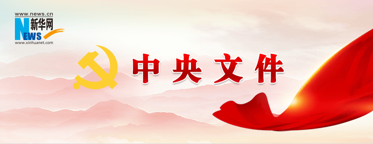 導(dǎo)管是什么意思梗